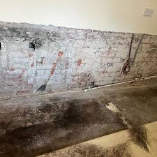 Damp Proofing Walls A Complete Guide