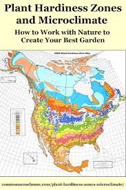 Plant Hardiness Zones And Microclimate Creating Your Best