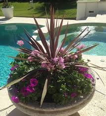 Pool Landscaping Ideas Protect A Child