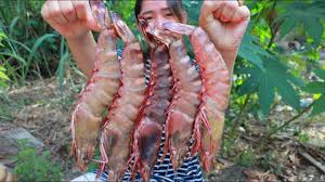 giant tiger shrimp stir fry recipe
