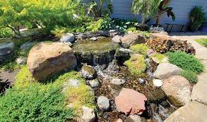 pond planning and building pond trade