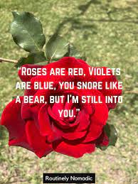 125 best roses are red violets are blue