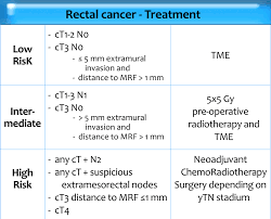 The Radiology Assistant Rectal Cancer Mr Staging 2 0