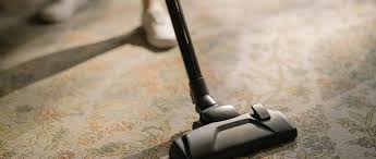 carpet cleaning london your regular