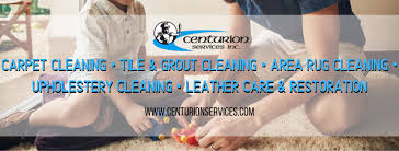 centurion cleaning services the glove