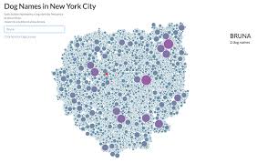 Heres A Bubble Chart Of The Most Popular Dog Names In Nyc