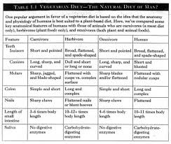 Chart Comparing Natural Herbivores Carnivores Omnivores