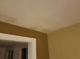 ceiling a roof leak or condensation