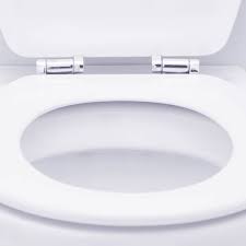 can you get sick from toilet seats