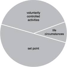 Pie Chart Designing Happiness