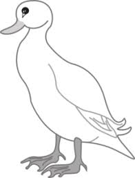 Donald duck baby ducks black and white , cartoon ducks png clipart. Png Duck Black And White Transparent Duc 135918 Png Images Pngio