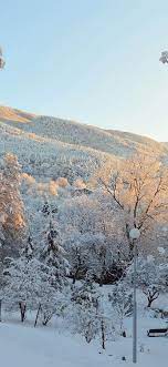 Winter, snow, trees, park 828x1792 ...