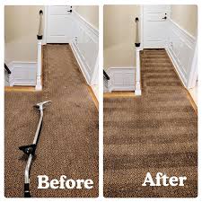 carpet cleaning beecleaner