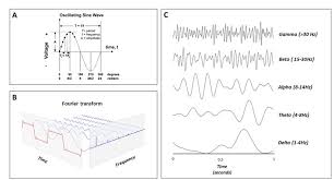 Characterizing Neural Oscillations Via
