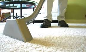 purelements carpet cleaning specialist