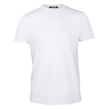 Seth T Shirt White Xl True Prodigy Touch Of Modern