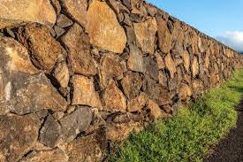 Tongan Or Hawaiian Rock Wall Builders