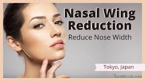 nasal wing reduction reduce nose width