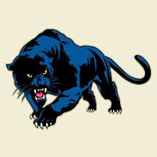 black panther vector images over 14 000