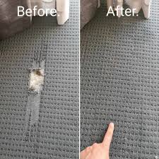 carpet pet damage repair carpet