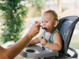 Booster Seat For Babies Make Mealtime