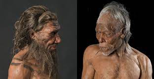 Al suo interno sono emersi i fossili di una trentina di individui, che per le caratteristiche genetiche e anatomiche sembrerebbero essere neanderthal della prima ora. I Neanderthal Sono Della Nostra Stessa Specie L Arazzo Del Tempo