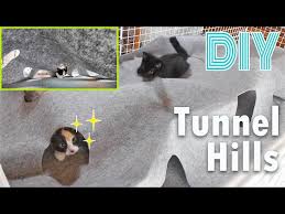 Diy Tunnel Hills For Cats They Were