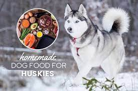 homemade dog food for huskies recipes