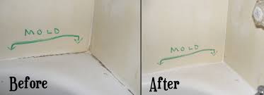 how to remove mold from shower caulking