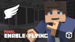 enable flying on a minecraft server