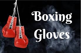 boxing gloves best punching bags