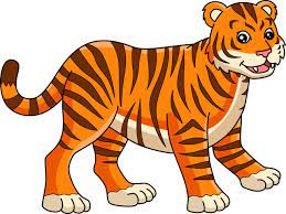 tiger cartoon colored clipart