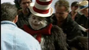 mike myers as the cat in the hat you