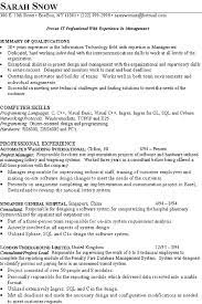 Helps you prepare job interviews and pra. It Consultant Resume Example