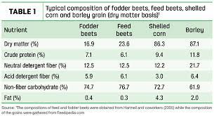 feed beets an economical subsute