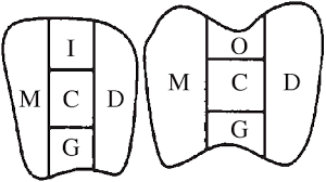 Five Subdivision Of Dental Surfaces In Plaque Index Php 8