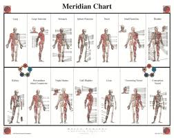 Meridians Acupuncture Meridian Energy Health Wellbeing