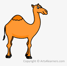 Learn to draw a camel | kids can learn how to draw a camel for the christmas story (a nativity scene) or just for fun. Drawn Camel Drawing Easy Draw Camel Free Transparent Png Download Pngkey