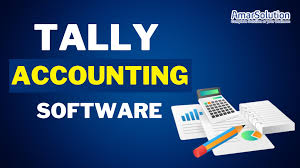 tally accounting software for small
