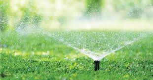 Lawn Watering The Turf Farm Premium