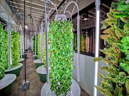 vertical farming with tower farms in