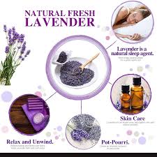 We did not find results for: Buy Dried Lavender Flower Buds Sachets Cedar Space 0 55 Bl 20 Sachet Bags Drawer Freshener Home Fragrance Lavender Sachets For Drawers And Closets Fresh Scents Online In Indonesia B08qmp17s9