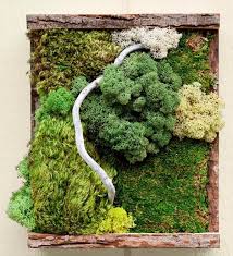 23 Diy Moss Wall Art To Bring Greenery