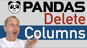 python pandas how to delete columns