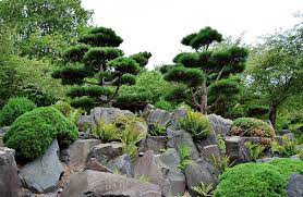 Hd Wallpaper Japanese Garden Rock