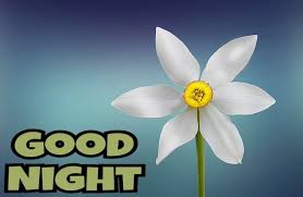 New Good Night Whatsapp Images Free Download For Whatsapp Gn Pics