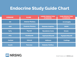 Endocrine System Study Guide With Answers Q A Nrsng