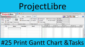 Projectlibre 25 Print Gantt Chart And Tasks