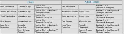 Horse Vaccine Chart Www Bedowntowndaytona Com