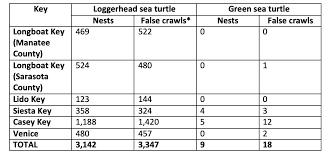 Sea Turtle Nesting Results Are In For Longboat Key Through